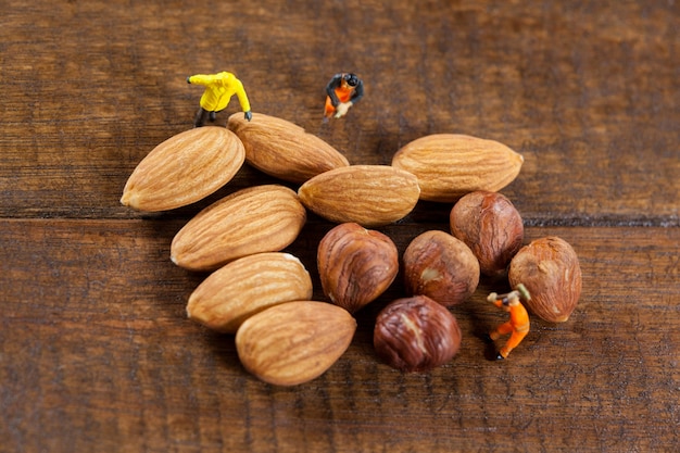 Trabajadores miniatura que trabajan con almendras y nueces