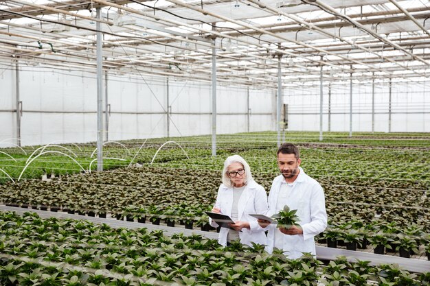 Trabajadores serios en el jardín mirando y tocando plantas