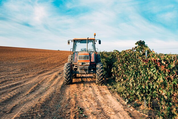 Tractor en un viñedo