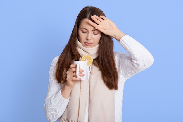 Tratamiento de la gripe. Retrato de mujer joven enferma envuelta en bufanda bebiendo té caliente, tiene influenza estacional, infección viral, posando aislada en la pared azul.