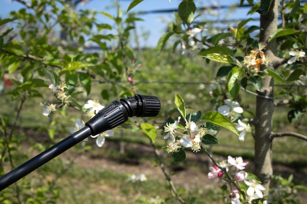 Tratamiento de plaguicidas de plantas agrícolas