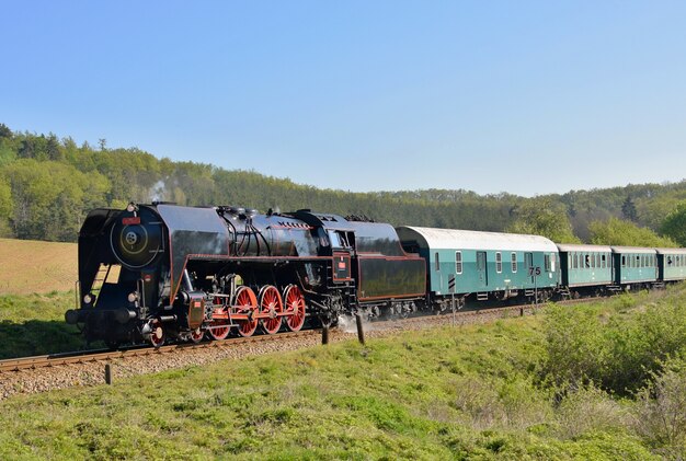 Tren antiguo en el campo