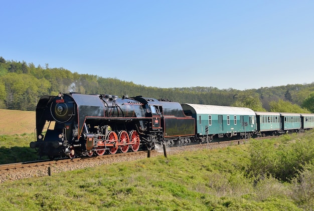 Tren antiguo en el campo