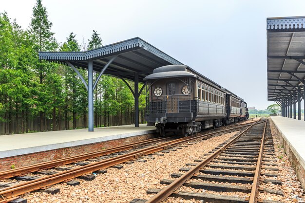 tren y ferrocarril