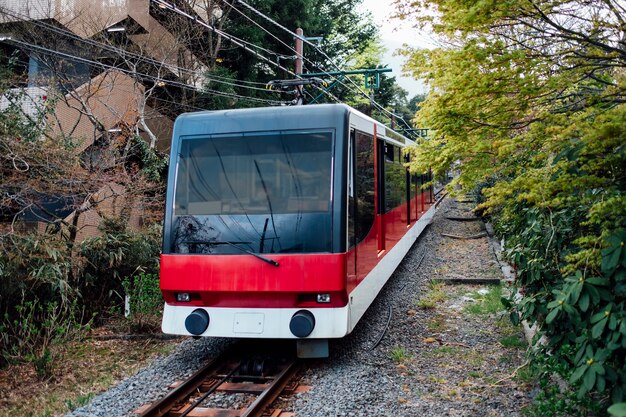 tren local en Japón