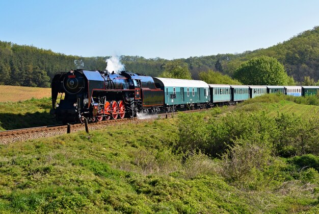 &quot;Tren en el valle verde en verano&quot;