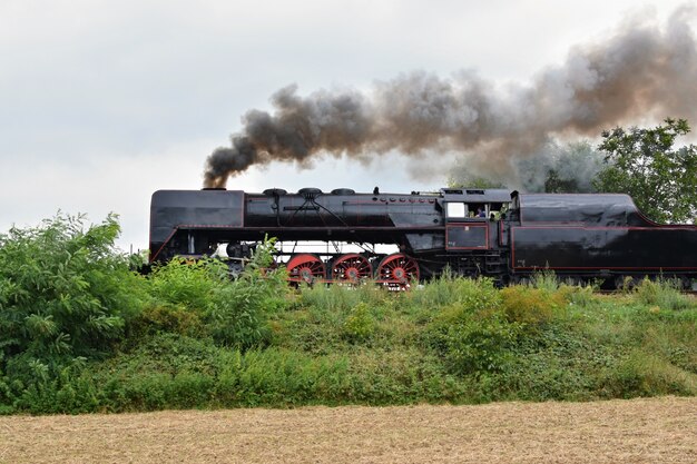 &quot;Tren a vapor en la naturaleza&quot;