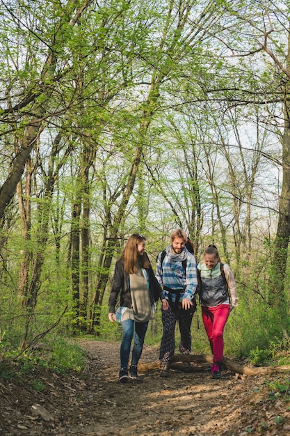 Tres amigos andando por el bosque