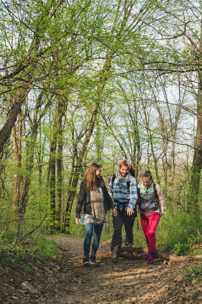 Tres amigos andando por el bosque