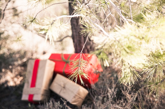 Tres cajas de regalo debajo de árbol