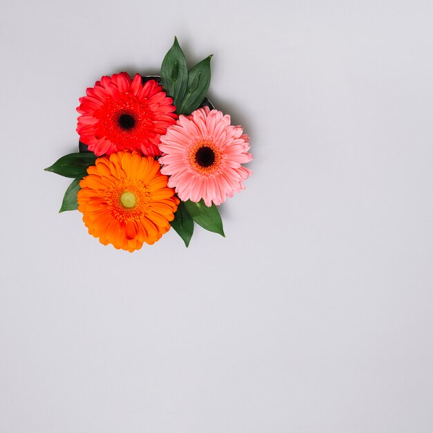 Tres capullos de flores con hojas en la mesa