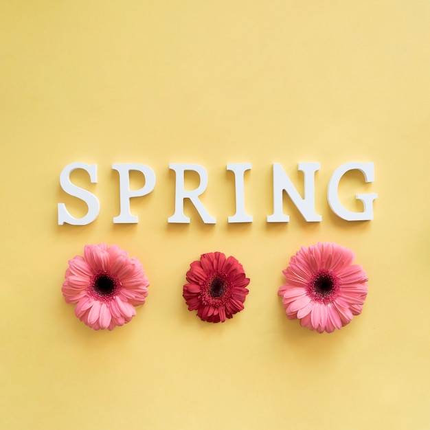 Foto gratuita tres flores y letras que ponen spring