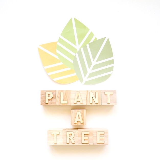 Foto gratuita tres hojas y palabras de plant a tree