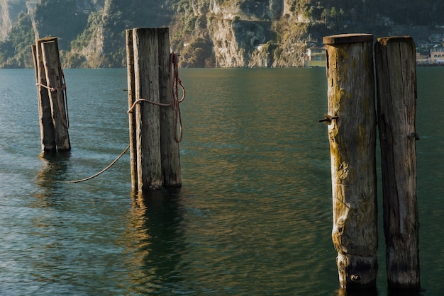 Tres postes de madera en el agua.