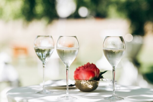 Tres vasos con agua y peonía roja sobre la mesa