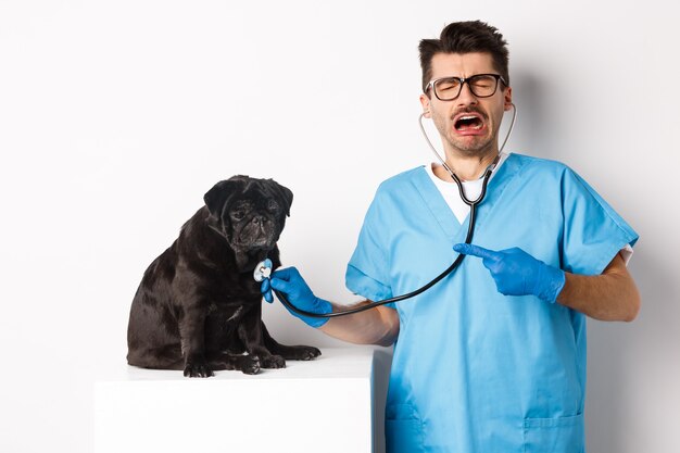 Triste médico veterinario examinando lindo perrito pug con estetoscopio, apuntando a la mascota y llorando, de pie sobre fondo blanco.