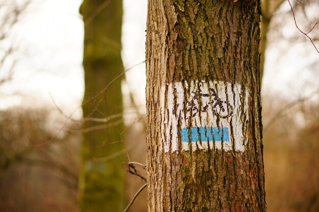 Tronco de árbol con un cartel pintado de una bicicleta