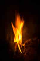 Foto gratuita troncos de madera ardiendo
