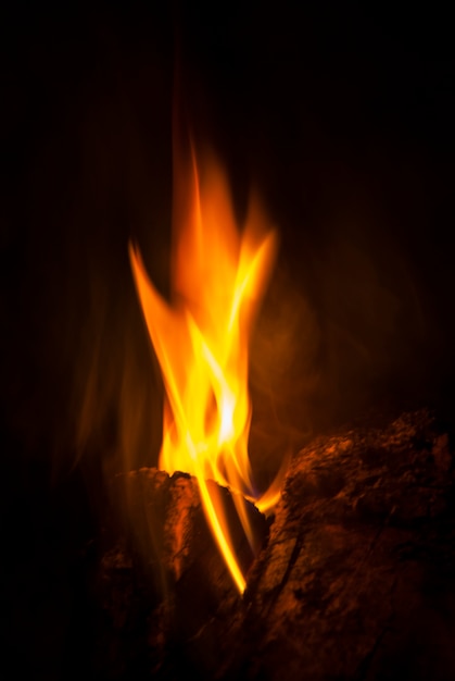 Troncos de madera ardiendo