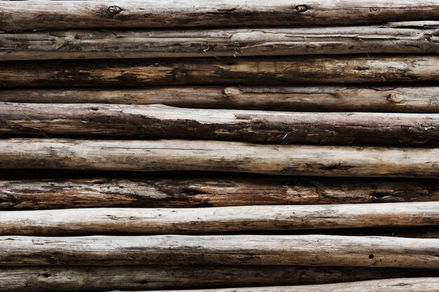 Troncos de madera beige con textura de fondo