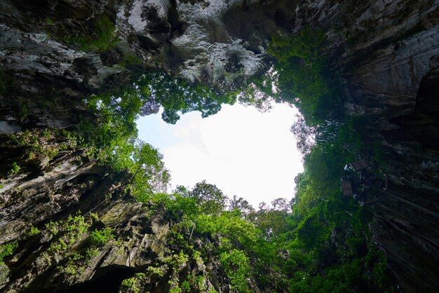 Trozo de cielo entre copas de árboles