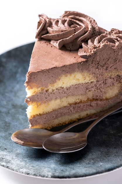 Trozo de tarta de trufa de chocolate aislado sobre fondo blanco.