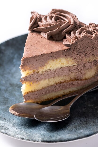 Trozo de tarta de trufa de chocolate aislado sobre fondo blanco.