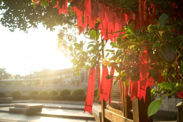 Trozos de papel rojo colgados de un árbol