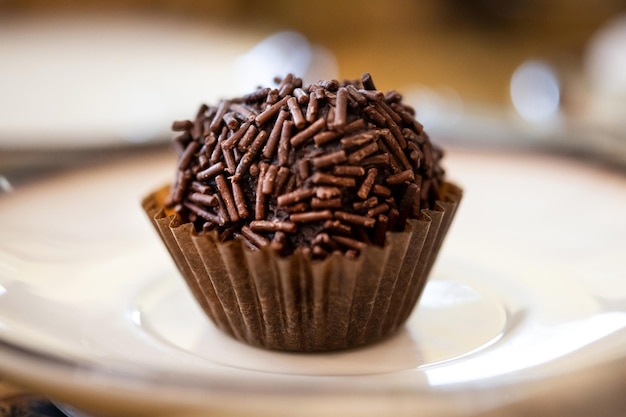 Trufa de chocolate casera en un plato con fondo borroso