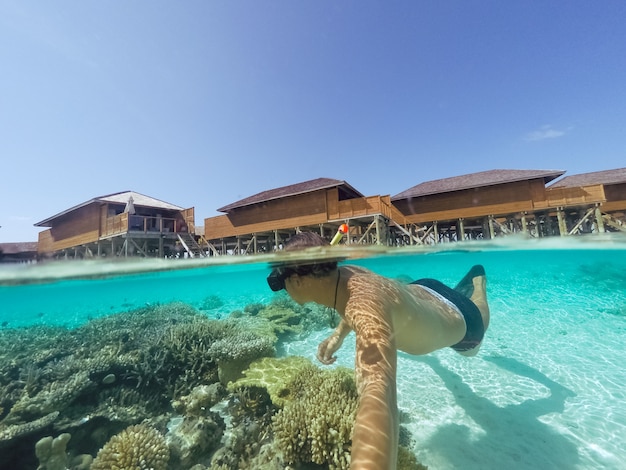 Foto gratuita tubo nadando en las profundidades de los animales maldivas
