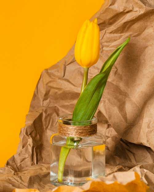 Tulipán amarillo en un jarrón transparente