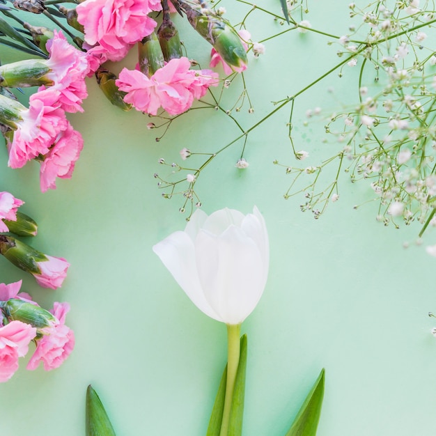 Tulipán blanco con flores rosas en mesa