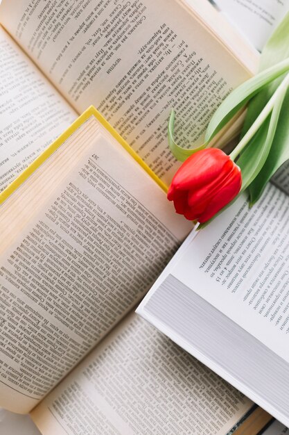 Tulipán rojo en libros