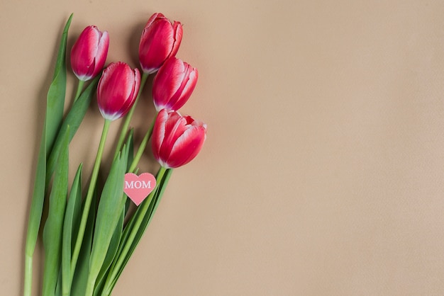 Tulipanes bonitos para el día de la madre