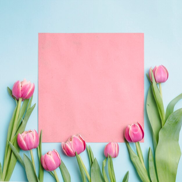 Tulipanes cerca de papel rosa