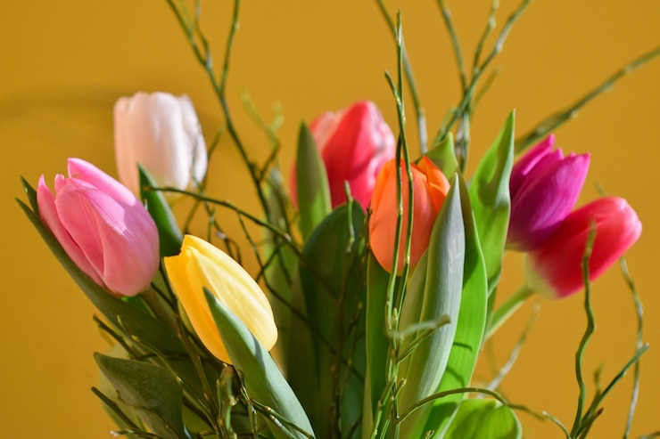 &quot;Tulipanes de colores en el ramo&quot;