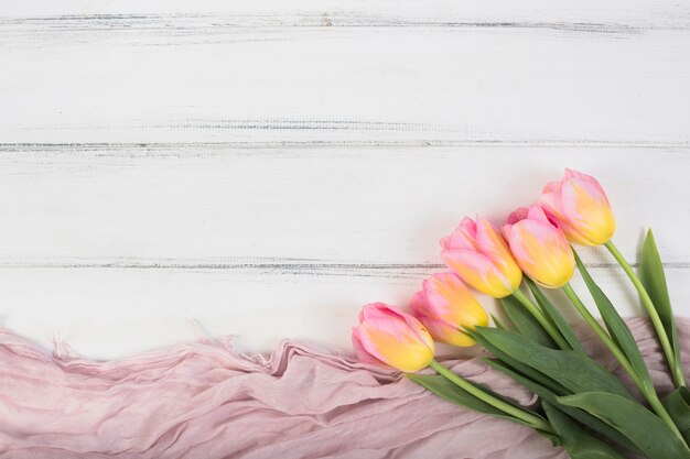 Tulipanes coloridos en mantón