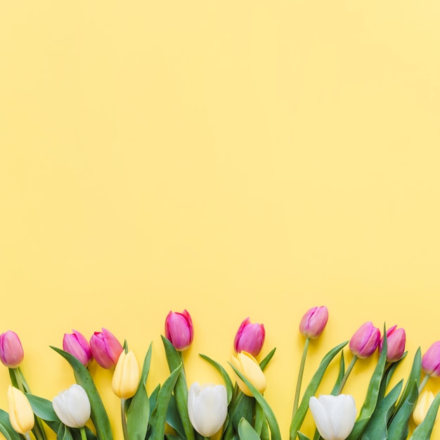 Tulipanes decorativos de colores sobre un fondo