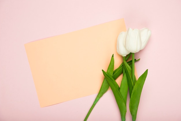Foto gratuita tulipanes florecientes con tarjeta en mesa