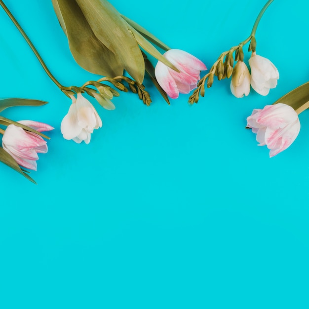 Tulipanes con flores en la mesa