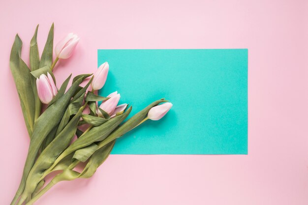 Tulipanes con papel en blanco sobre mesa rosa