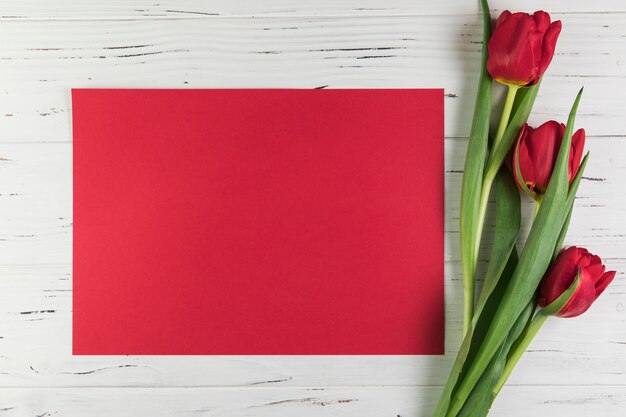 Tulipanes rojos y papel de tarjeta en blanco sobre fondo blanco con textura de madera