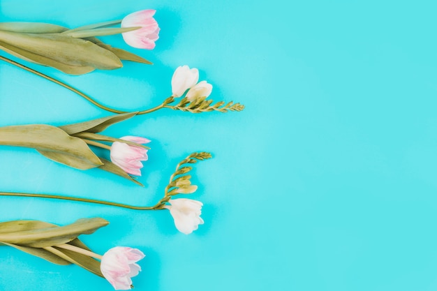 Foto gratuita tulipanes rosa con flores en mesa azul