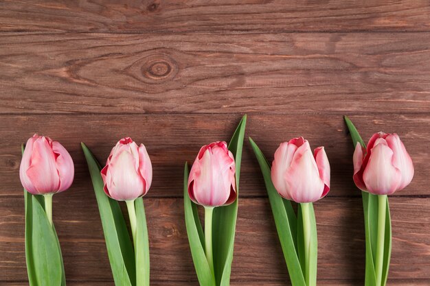 Tulipanes rosa sobre fondo de madera con textura