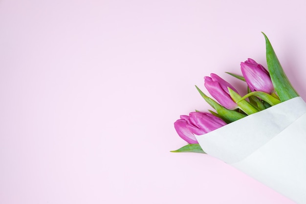 Tulipanes violetas sobre un fondo rosa Concepto de primavera Vista superior espacio de copia plana