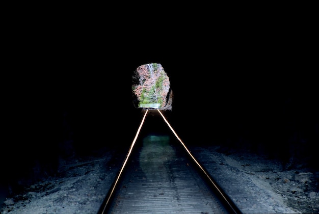 Foto gratuita túnel de ferrocarril oscuro por dentro mirando hacia la luz del día. vías de tren que se alejan a lo lejos a través de la abertura del túnel. bosques y árboles.