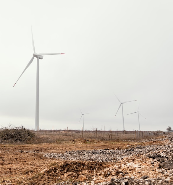 Turbinas eólicas en el campo que generan energía eléctrica.