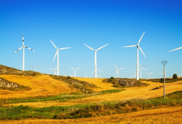 Turbinas de viento en tierras de cultivo