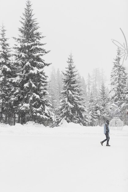 Turista caminando sobre bosques nevados