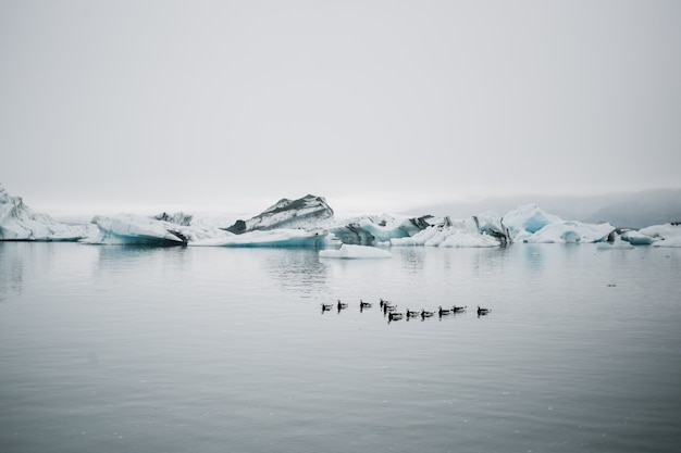 Turista relojes glaciar en agua en islandia